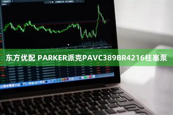 东方优配 PARKER派克PAVC389BR4216柱塞泵